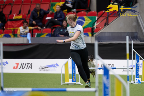 20250918-080038-B76I4668.jpg