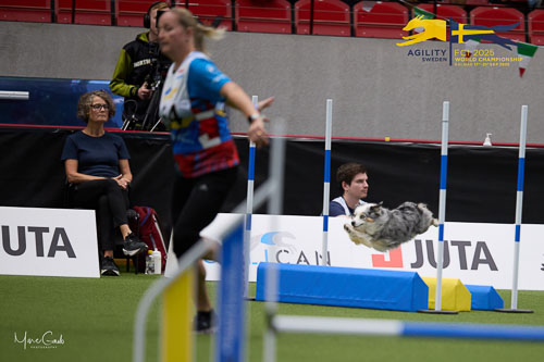 20250921-094334-B76I8155.jpg